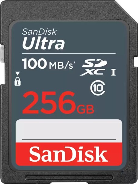 SanDisk Ultra SDXC 256 GB Class 10 UHS-I/U1 (SDSDUNR-256G-GN3IN)