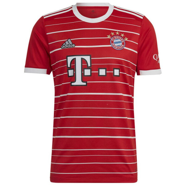 Pánske tričko adidas FC Bayern H Jsy M H39900 XL