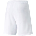 Pánske teamRISE Short 704942 03 Puma