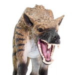 Safari Ltd. Safari Ltd. Figúrka - Hyaenodon gigas