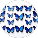 Jedlý papier modrí motýle 19,5cm - Pictu Hap - Pictu Hap