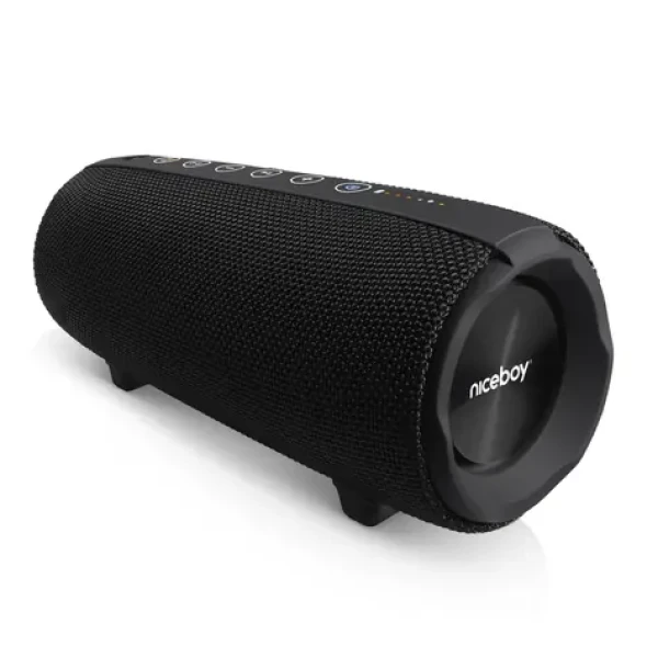 Niceboy Titan 4 čierna / Prenosný bluetooth reproduktor / 50 W / 3.5 mm jack / USB / microSD / BT 5.3 (raze-titan-4)