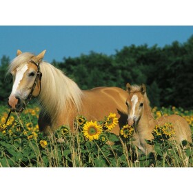 Ravensburger Puzzle Šťastné kone 200 XXL dielikov