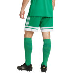 Šortky adidas Squadra 25 M JN7482 S