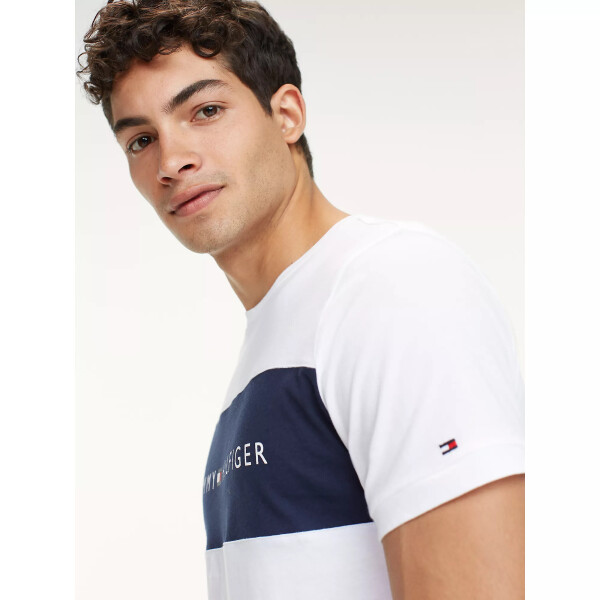 Pánske tričká CN SS TEE LOGO FLAG UM0UM01170100 - Tommy Hilfiger LG