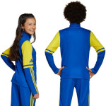 Mikina adidas Squadra 25 Training Jr JP3150 164 cm