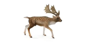 Collecta Daněk európsky