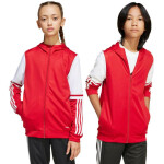 Mikina adidas Squadra 25 Hoodie Jr JD4801 152CM