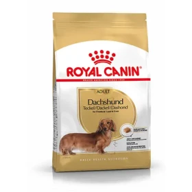 Royal Canin Adult Dachshund