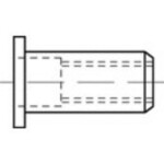 TOOLCRAFT TO-5380458 slepá nitovacie matice M8 nerezová ocel 100 ks; TO-5380458