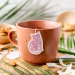 TEA HERITAGE Čaj rooibos s červeným pomarančom Cat 5 ks