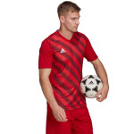 Pánsky dres Entrada 22 Graphic Jersey HB0572 Adidas