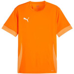 Puma teamGoal Matchday Jersey M 705747 08 muži M