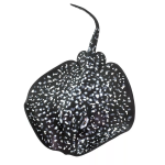 Safari Ltd. Safari Ltd. Figúrka - Hviezdnatec elektrický