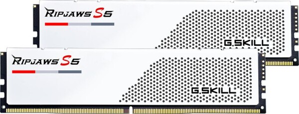 G.Skill (F5-6000J3238F16GX2-RS5W)