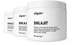 Vilgain Shilajit – 3× 20 % extrakt kyseliny fulvovej 90 kapsúl