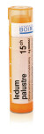 LEDUM PALUSTRE 15CH granule 4 g