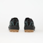 Tenisky adidas Terrex Skychaser Gtx Cardboard/ Core Black/ Legend Ivy EUR 46