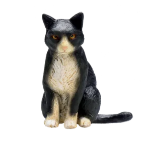 Mojo Mačka čiernobiela sediaca