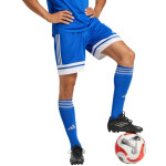 Šortky adidas Squadra 25 M JH3405 XL