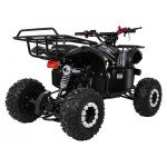 Mamido Detská benzínová štvorkolka RamiGO WILDPEAK 110CC čierna