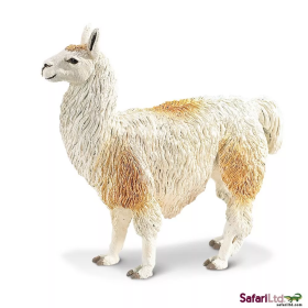 Safari Ltd. Safari Ltd. Lama