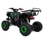 Mamido Detská benzínová štvorkolka RamiGO WILDPEAK 110CC čierno-zelená