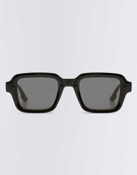 Komono Lionel Black Tortoise
