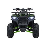 Mamido Detská benzínová štvorkolka RamiGO DISCOVERER 125CC čierno-zelená