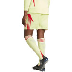 Pánske žlto-červené šortky adidas Tiro 24 JI6090 M