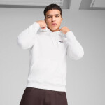 Puma Ess 2 Color Small No.1 Logo Hoodie TR M 684719 02 Muži S