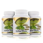 Golden Nature Ginkgo Biloba extrakt 50:1 60mg 300 cps. (3x100 cps) (GN2100023)