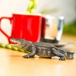 Safari Ltd. Safari Ltd. Krokodíl