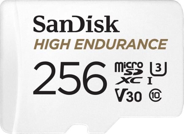 SanDisk High Endurance MicroSDXC Class 10 V30 (SDSQQNR-256G-GN6IA)