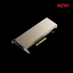 PNY Nvidia RTX A2 Low Profile / Grafická karta / 16GB GDDR6 / 128-bit / PCIe 4.0 x8 / Passive / Single slot (TCSA2M-PB)