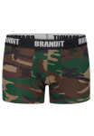 Boxerky Logo 2er Pack woodland/darkcamo