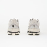 Tenisky Nike Pegasus Premium Run Platinum Tint/ Black-Sail-College Grey-Summit White-Sequoia EUR 44
