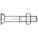 Skrutky s jedným nos. TOOLCRAFT 111705 M20 DIN 604 75 mm oceľ 25 ks; 111705