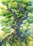 ENJOY Puzzle Strom života