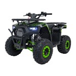 Mamido Detská benzínová štvorkolka RamiGO DISCOVERER 125CC čierno-zelená