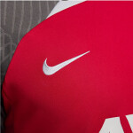 Nike Liverpool FC Strike SS Top tričko FD7084-688