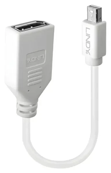 Lindy biela / Adaptér / Mini DisplayPort (M) - DisplayPort (F) / 0,15 m (41021)