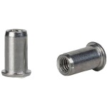 Gesipa 1433706 slepá nitovacie matice (Ø x d) 9 mm x 15.5 mm M6 ocel Dresselhaus 250 ks; 1433706