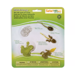 Safari Ltd. Safari Ltd. Životný cyklus - Žaba