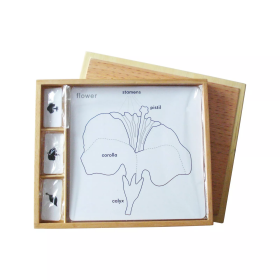 Moyo Montessori Moyo Montessori Sada aktivít k botanickým puzzle (popisky v ANJ)