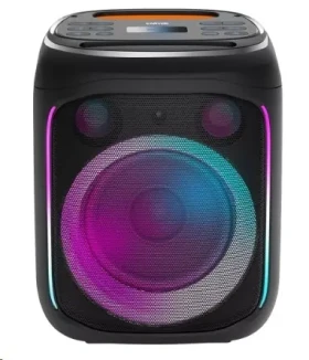 Canyon CNE-PBSP5 čierna / prenosný párty reproduktor / BT 5.0 / 40W / RGB / USB-A / microSD / AUX / 6.3mm jack / režim TW (CNE-PBSP5)