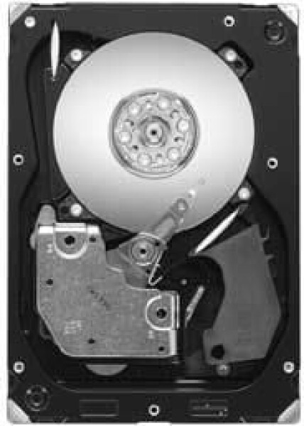 Seagate Cheetah 300 GB 3.5'' SAS-2 (6Gb/s) (ST3300657SS)