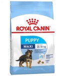 Royal Canin Maxi Puppy