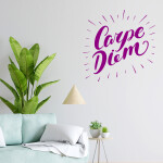 Veselá Stena Samolepka Carpe Diem (Užívaj dňa) Farba: ružová, Veľkosť: 60 x 60 cm