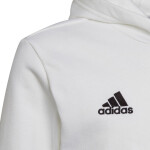 Entrada 22 Hoody Jr Adidas